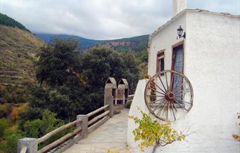 Vivienda Rural Cortijo Encina de Lorenzo II
