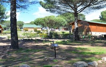 Apartamentos Paraje San Ginés