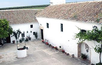 Casa Rural Cortijo El Pinar