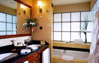 Gran Hotel Elba Estepona & Thalasso Spa