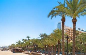 Playaluna