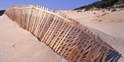 Bolonia