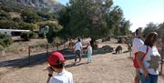 Contacto con los animales