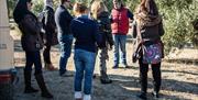 Almazara Turística Oleoturismo