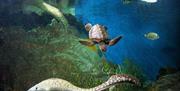 Acuario de Almuñécar