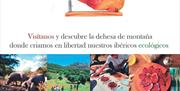 información y contacto