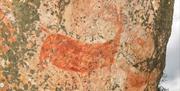 Arte Rupestre Patrimonio de la Humanidad por la UNESCO