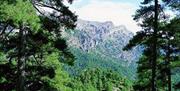 Sierras de Cazorla, Segura y las Villas