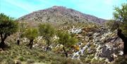 Sierra de Baza