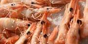 Feria de la Gamba, la Chirla y el Boquerón
