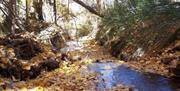 Sierra de Baza