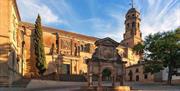 Catedral de dia