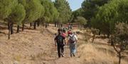 Parque Natural de Despeñaperros