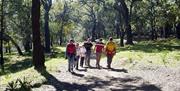 Los Alcornocales