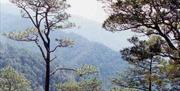 Sierras de Tejeda, Almijara y Alhama