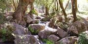 Sierras de Cazorla, Segura y las Villas