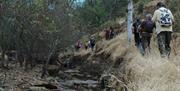 Parque Natural de Despeñaperros