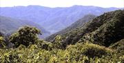 Sierra de Hornachuelos