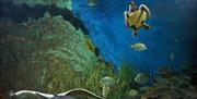 Acuario de Almuñécar