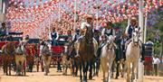 Feria de la Manzanilla