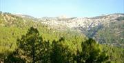 Sierras de Cazorla, Segura y las Villas