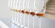 Vinoble Jerez