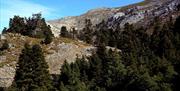 Sierra de las Nieves