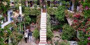 Festival de los Patios de Córdoba