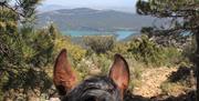 Ruta a caballo Sierra de Cazorla
