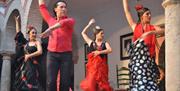 Andalucía es Flamenco
