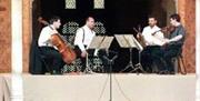 Festival internacional de Música y Danza