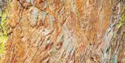 Arte Rupestre Patrimonio de la Humanidad por la UNESCO