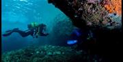 Buceo Las Negras
