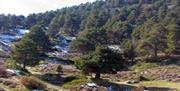 Sierra de Baza