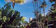 Parque Botánico El Majuelo