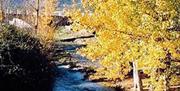 Sierra de las Nieves
