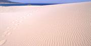 Bolonia