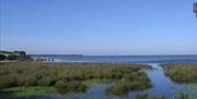 Marismas de Doñana y Mar