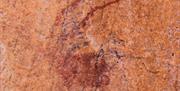 Arte Rupestre Patrimonio de la Humanidad por la UNESCO