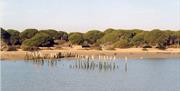 Doñana Pinar y Poblados