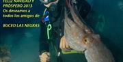 Buceo Las Negras