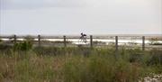 Vuelta ciclista a Andalucía "Ruta del Sol"